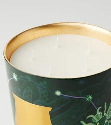 Fir Grande scented candle | Trudon