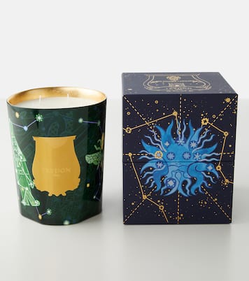 Fir Grande scented candle | Trudon