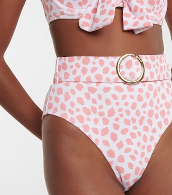 Slip bikini Ursula con stampa | Alexandra Miro