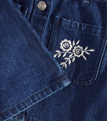 Danubio embroidered denim skirt | The New Society