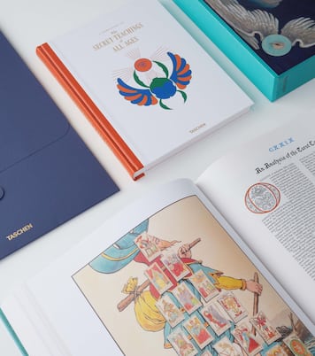 Secret Teachings of All Ages book | Taschen