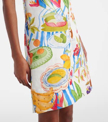 Printed linen minidress | Farm Rio