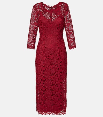 Robe midi en dentelle | Carolina Herrera