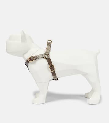 Geschirr für Hunde GG Supreme S/M | Gucci