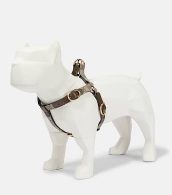 Geschirr für Hunde GG Supreme S/M | Gucci