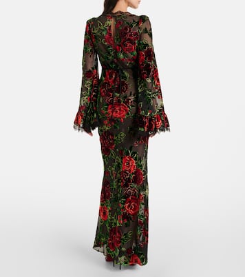 Robe aus Devoré mit Spitze | Rodarte