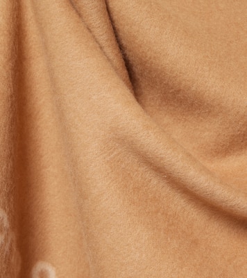 Sciarpa in lana con logo | Acne Studios