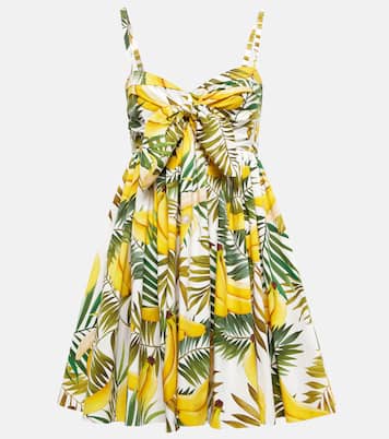Printed cotton-blend minidress | Oscar de la Renta