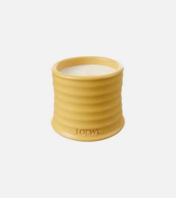 Honeysuckle Small scented candle | Loewe Home Scents