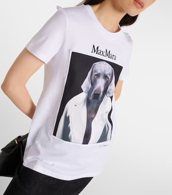 T-shirt Cipria in jersey di cotone | Max Mara