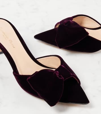 Mules 55 in velluto con fiocco | Gianvito Rossi