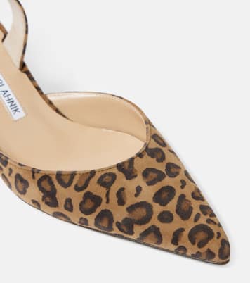 Carolyne 50 suede slingback pumps | Manolo Blahnik