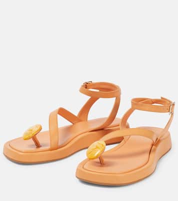 x GIA/RHW - Sandali infradito Rosie in pelle | Gia Borghini