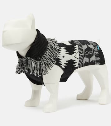 x Poldo Dog Couture Icon dog sweater | Alanui