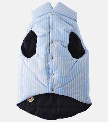Manteau pour chien rayé Moncler Poldo Dog Couture | Moncler