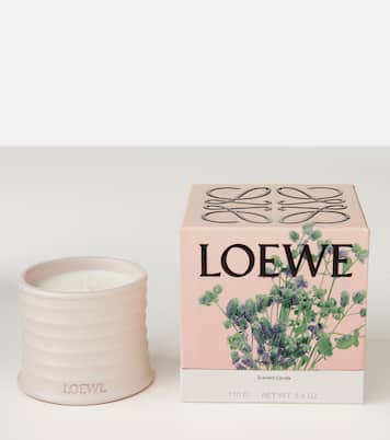 Bougie parfumée Oregano Small | Loewe Home Scents