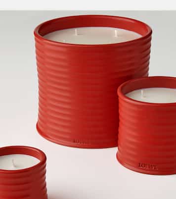 Tomato Leaves Large scented candle | Loewe Home Scents