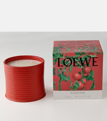 Tomato Leaves Large scented candle | Loewe Home Scents