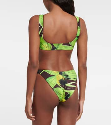 Scoop printed bikini top | Louisa Ballou
