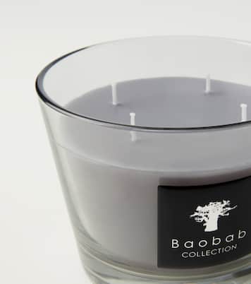 All Seasons White Rhino Small scented candle | Baobab Collection