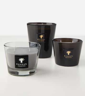 All Seasons White Rhino Small scented candle | Baobab Collection