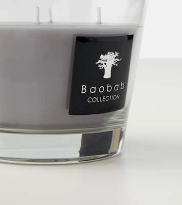 All Seasons White Rhino Small scented candle | Baobab Collection
