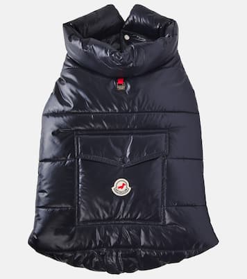 Manteau pour chien Moncler Poldo Dog Couture | Moncler