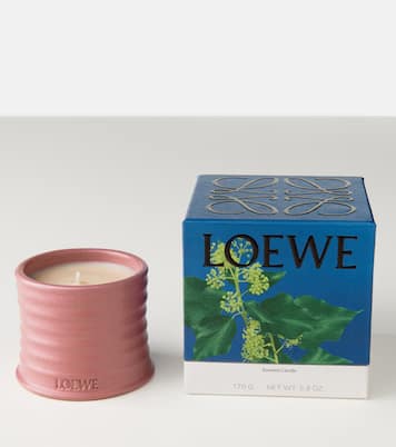 Duftkerze Ivy Small | Loewe Home Scents