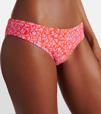 Slip bikini Limpopo con stampa | Heidi Klein