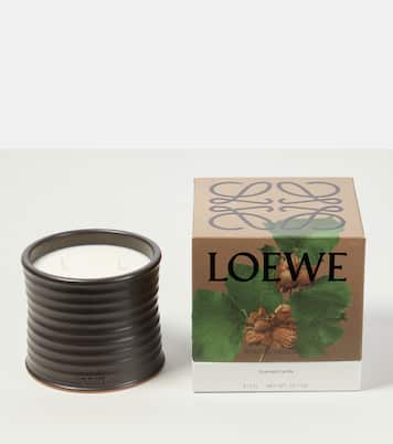 Roasted Hazelnut Medium scented candle | Loewe Home Scents