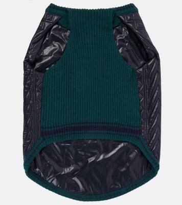 Manteau pour chien Moncler Poldo Dog Couture | Moncler