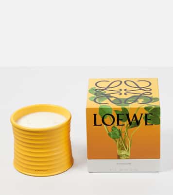 Wasabi Medium scented candle | Loewe Home Scents
