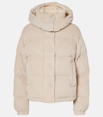 Daunenjacke Daos aus Cord | Moncler