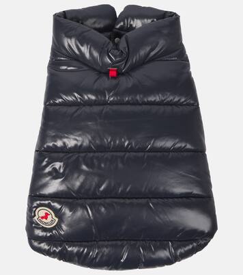 Chaleco acolchado para perro Moncler Poldo Dog Couture | Moncler