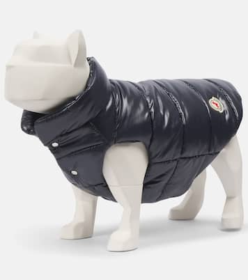 Chaleco acolchado para perro Moncler Poldo Dog Couture | Moncler