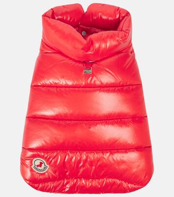 Moncler Poldo Dog Couture quilted dog coat | Moncler