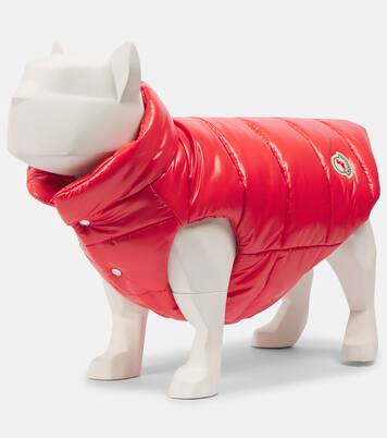 Moncler Poldo Dog Couture quilted dog coat | Moncler