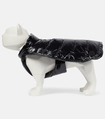 6 Moncler 1017 ALYX 9SM Mantel für Hunde | Moncler