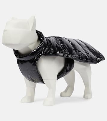 6 Moncler 1017 ALYX 9SM Mantel für Hunde | Moncler