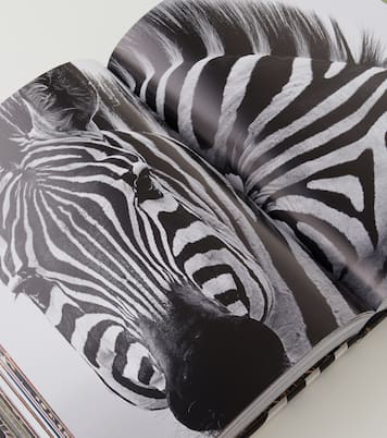 African Adventures book | Assouline