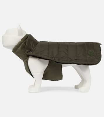 Abrigo para mascota Moncler Poldo Dog Couture | Moncler