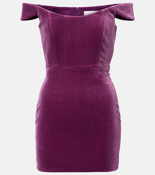 Off-shoulder velvet corset dress | Alex Perry