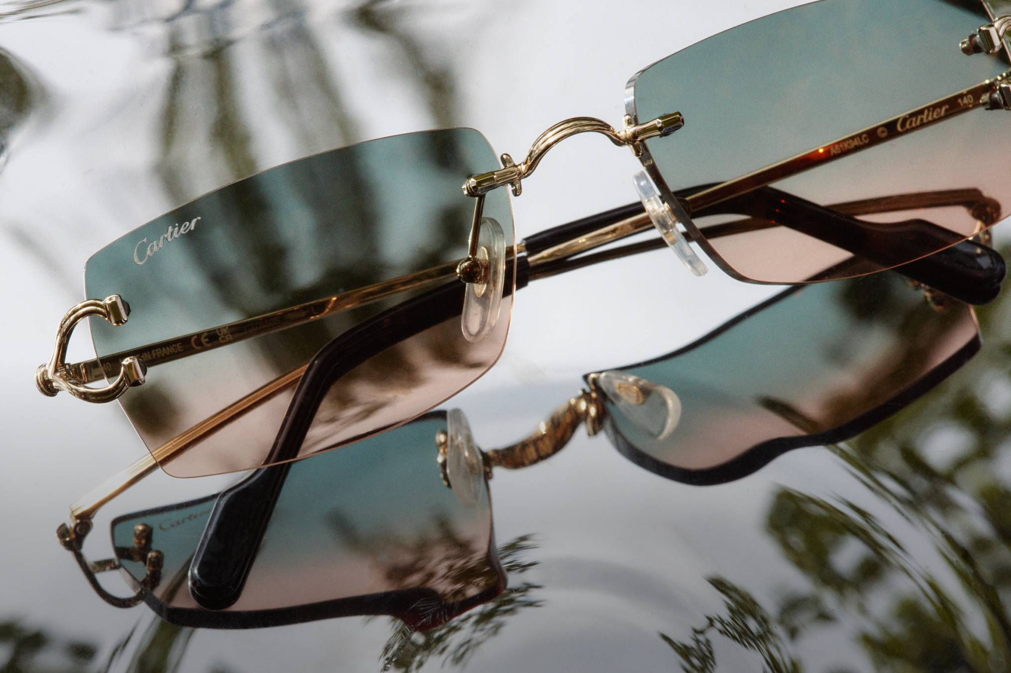 Cartier Eyewear Collection